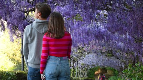 Florence, 28 April 2022: A boy and a girl under a beautiful blooming purple wisteria tunnel in a garden near Michelangelo square in Florence, admire the flowers swaying in the wind. Italy.