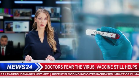 Split Screen TV News Playback: Anchorwoman Talks about Segment. Covid Test Analysis: Drugs and Vaccine Developing Medical Research Scientist Holds Blood Test with Positive with a Marker.