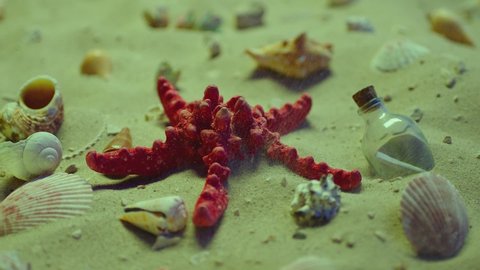 Seashells and red starfish lying on the sand . Wind blows , sand rising up . Summer holidays , beach , sea tourism concept or theme . Message or letter inside bottle . Slow motion close-up