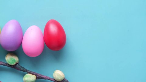 slow motion of multi color eggs and flower on color background 