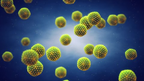 Animation of Herpes simplex viruses ( HSV ) . Blisters or cold sores are caused by herpes virus infection