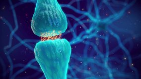 Animation of synaptic transmission - one nerve cell (neuron) communicating with another by releasing neurotransmitters. The synapse is the gap between two neurons and is also called neuronal junction - Powered by Shutterstock - Get 15% off with code: PIKWIZARD15