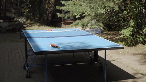 Blue folding table tennis table on wheels, with taut net, rackets and ball on opposite sides, stands in sunlight among trees.