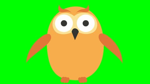 Animated funny owl. Looped video. Vector illustration isolated on a green background.