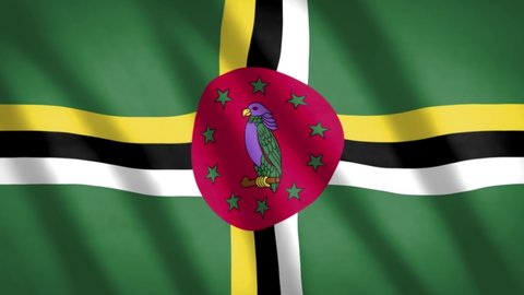 Dominica Flag 4K Video Resolution
