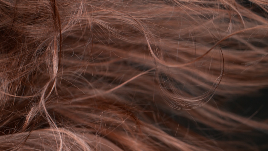 Super Slow Motion Shot of Waving Messy Brown Hair at 1000 fps. | Shutterstock HD Video #1089749221