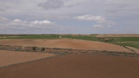 Aerial video in 4k of the harvests of the wheat fields in Bajo Aragón, Azaila, Teruel, and a group of olive trees in dry land.

