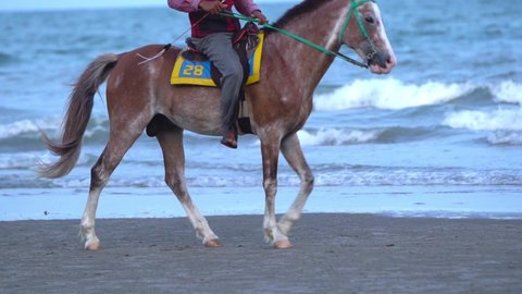 Slow motion shot, Horse-riding on a tropical beach along the coast of the sea. Hua Hin in Thailand.