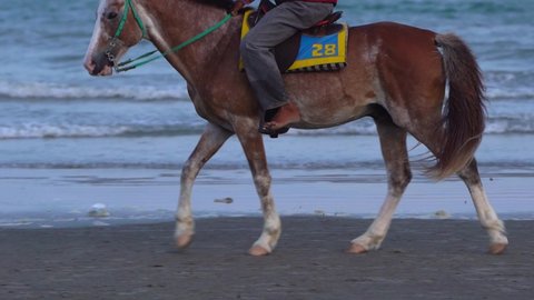 Slow motion shot, Horse-riding on a tropical beach along the coast of the sea. Hua Hin in Thailand.