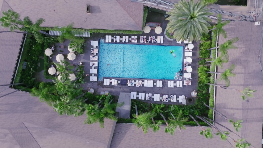 Birdseye View of Sparkling Hollywood Rooftop Pool, Glamorous Hotel Pool Lined with Palm Trees