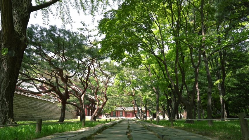 Summer of Jongmyo Shrine in Seoul, Korea