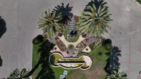 Palm Trees in the Culture Park Drone Video, Konak Izmir Turkey 