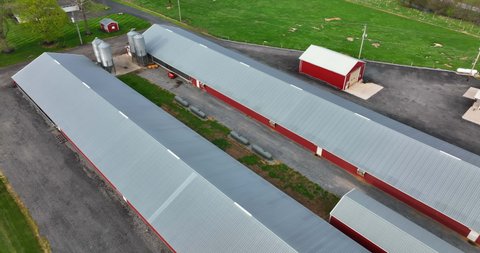 Red chicken poultry house barns for birds. Aerial pullback reveal of green rural farm fields in spring season.