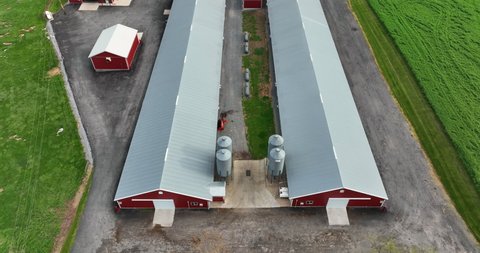 Farm rural chicken house barns for poultry birds. Red buildings. Aerial tilt up reveal of green fields and surrounding rural farmland.