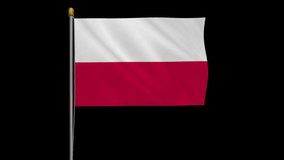 A loop video of an alpha channel with a transparent background, where the Poland flag ways in the wind.