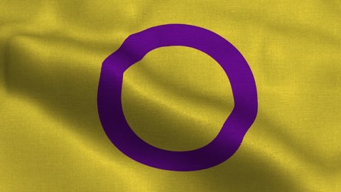 Intersex flag waving in the wind with high-quality texture in 4K. LGBT, lesbian, gay, bisexual, transgender social movements. Concept of happiness freedom love same-sex couple