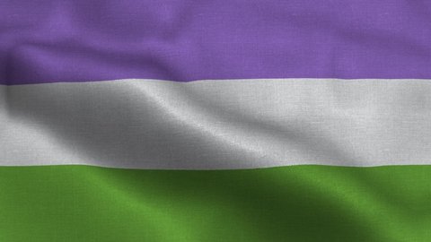 Genderqueer flag waving in the wind with high-quality texture in 4K. LGBT, lesbian, gay, bisexual, transgender social movements. Concept of happiness freedom love same-sex couple