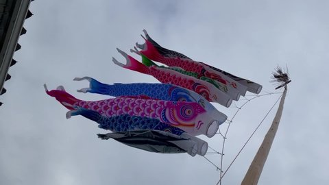 Kagoshima, Japan - May 1 2022: Koinobori, traditional carp-shaped flags raised for the Kodomo No Hi or Children's day