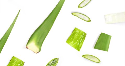 Motion animation with Aloe vera.  Aloe animation on the white background. Top view 4k.