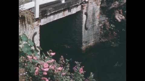 1960s: Flowers grow on banks by bridge, water under bridge. Bird flies to baby birds in nest under bridge. Bird flies out over water, flies back to nest, feeds baby birds. Bird perches on pipe.