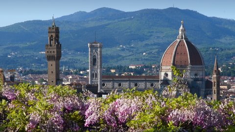 Beautiful view of the famous Cathedral of Santa Maria del Fiore, Giotto's Bell Tower and Palace of the Town Hall in Florence with blooming wisteria on the foreground. Italy