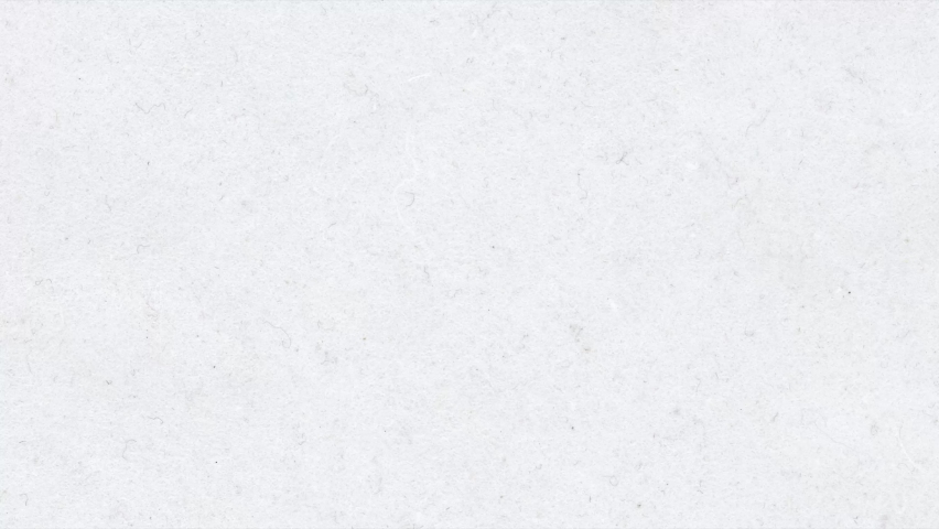 4K animated wild flowers on paper background 30 sec horizontal on ground 