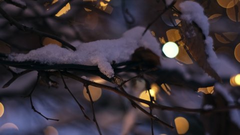Winter Christmas Outdoor Decoration Tree Blinking LED Lights