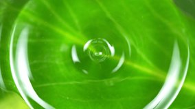 Super Slow Motion Shot of Water Drop Falling into Water Surface With Fresh Green Leaf at 1000fps. - Powered by Shutterstock - Get 15% off with code: PIKWIZARD15