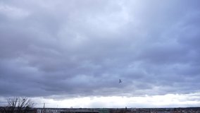 Horizon line and dark dramatic cloudy rainy cloudscape. 4k stock video time lapse of grey huge rainy clouds flying over small city of Poland. Buildings, spring trees and windy rainy weather in town
