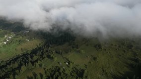 Flying over the high mountains with pine forest in beautiful clouds. Aerial view