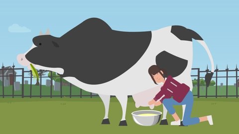 Girl milking a cow by hand cartoon animation concept