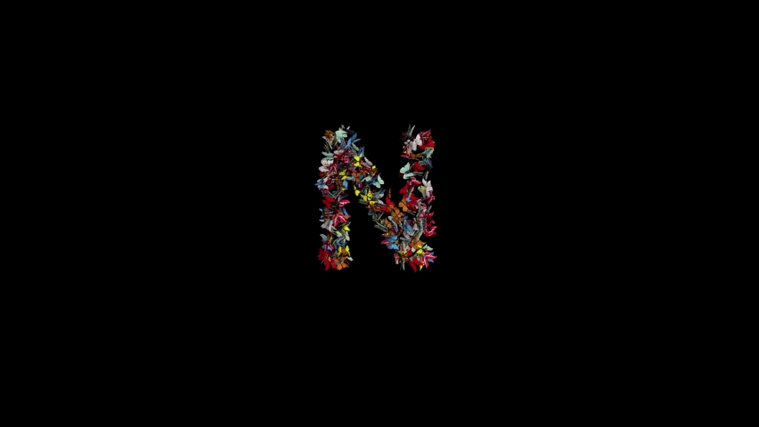 3d animation of Colored Butterfly Gathering and forming Typeface with separate alpha the character N