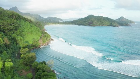 Aerial dolly tilt up over coastline northwest Mahe island with giant trees and a green blanket of invasive Kudzu vines overlooking Port Launay bay and rolling mountains in the light of the setting sun