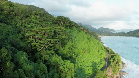 Aerial dolly over huge trees and green blanket of invasive Kudzu vines overlooking Port Launay bay and rolling mountains in the light of setting sun, northwest coast of Mahe Island in the Indian Ocean