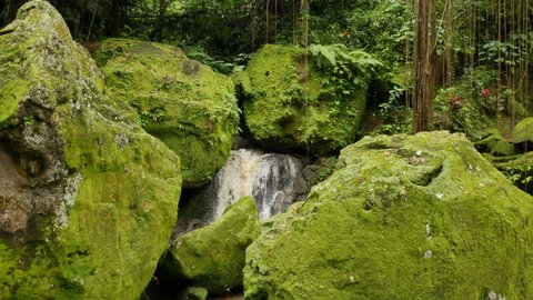 BALI, INDONESIA - JANUARY 24, 2018: Waterfall between large rocks covered in bright green moss, lianas and tropical plants in Bali. 4K, Audio, Handheld, Medium shot