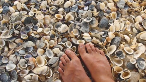 bare feet stand on shells and sand on the sea or ocean, close view from above. resort vacation concept