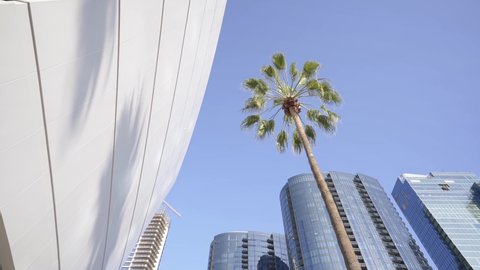 LOS ANGELES, CA, USA - April 30, 2022: palm tree outside Crypto.com Arena, former Staples center. Skyscraper buildings downtown Los Angeles. LA offices, shops, hotels, apartments. tourism destination 