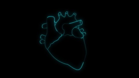 Animated Human Heart Anatomy in Black Background
