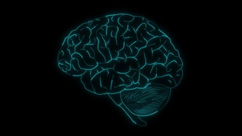 Animated Human Brain Anatomy in Black Background