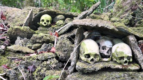 Scull Island, Munda, Solomon Islands - Headhunting — the practice of preserving the decapitated head of an enemy after he or she is killed - creepy-yet-fascinating ceremonial practice.