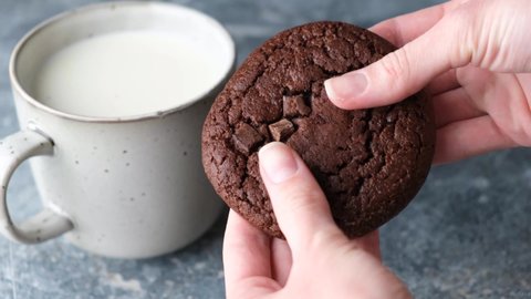 Dark chocolate brownie cookie in female hands. Breaking cookie in two pieces. Cookies and milk concept