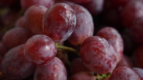 Close-up view 4k video footage of red seeded organic grapes raisins. Fruits of Chile. Grapes video background