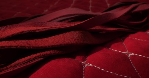 detailed, extreme close-up of a red whip on a red blanket.