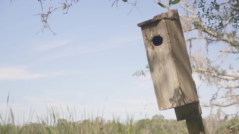 A Forest Birdhouse with Blue Sky Background Close UP