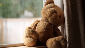 Teddy bear sitting in a window - Powered by Shutterstock - Get 15% off with code: PIKWIZARD15