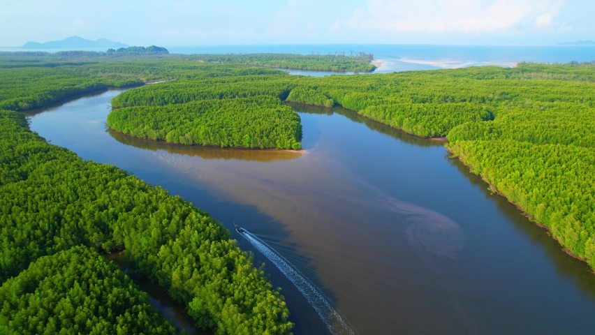 Top view of the boat cruising along the river with mangroves surrounding. Beautiful mangrove forest in Trang Province, Thailand. Aerial view from a drone. 4k Footage
