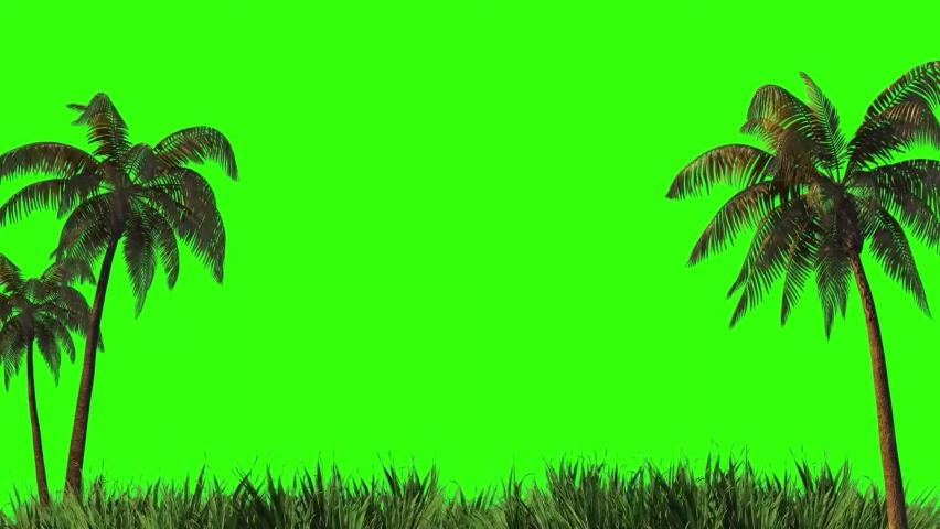 This is a green screen stock video footage featuring Beach with Coconut trees.