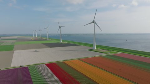Tulips in red orange, yellow and pink growing in a field with wind turbines on a levee during a spring day. Drone point of view from above.