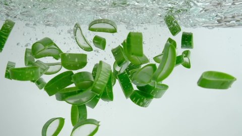 Front view of aloe vera dropped into water in white background 