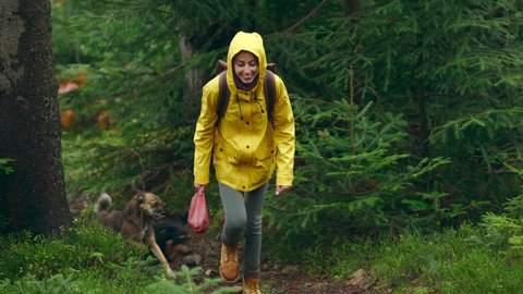 woman hiker in yellow jacket Walks with dog by trail in autumn forest. female traveler with backpack going up through wet wood in Carpathian mountains in Western Ukraine